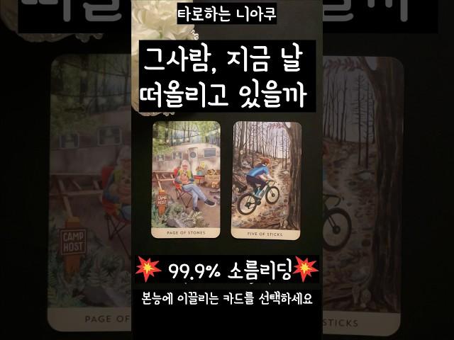 [타로] 그 사람, 지금 날 떠올리고 있을까