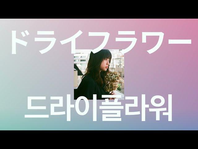 너에게 시들지 않은 꽃을 줄테니까: 유우리(Yuuri) - 드라이 플라워(Dry flower) [가사/발음/한글 자막]