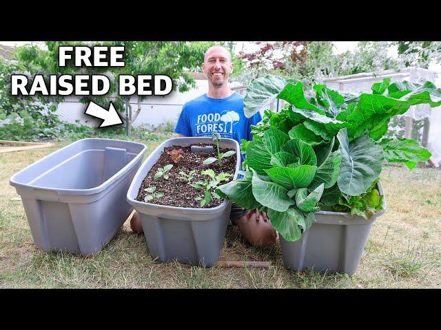 How to Build a RAISED BED in a TOTE, FREE Container Gardening!