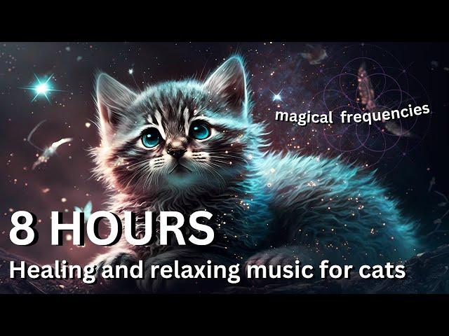 528 Hz Magical Healing Music For Cats with Relaxing Purring Sounds For Anxiety and Stress Relief