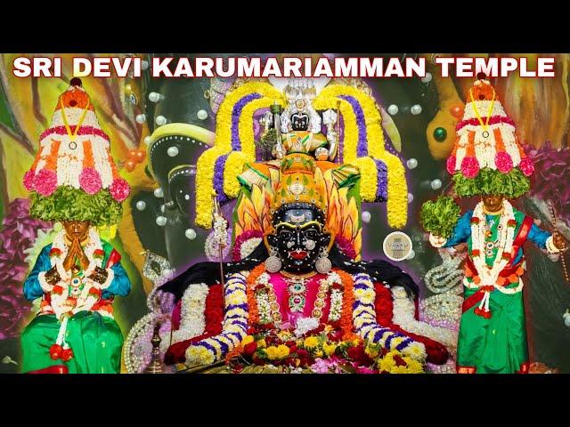 Veppilai Karagam 2024 | Arulmigu Devi Karumariamman Temple | Halasuru | #templemonk #karaga2024