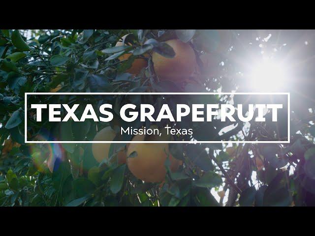 Texas Grapefruit