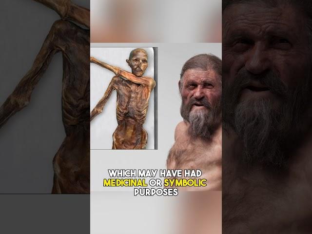 Otzi the Iceman: A 5,300-Year-Old Mystery #shorts #ancienthistory