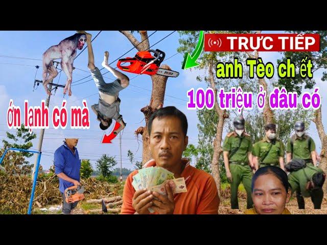 Trực Tiếp  cưa cây rơi gãy cổ ch ết 100 triệu từ đâu ra gia đình đang bức xúc