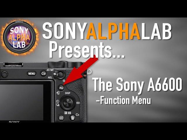 Sony A6600 and The Function Menu (Fn) - How To Use and Customize...