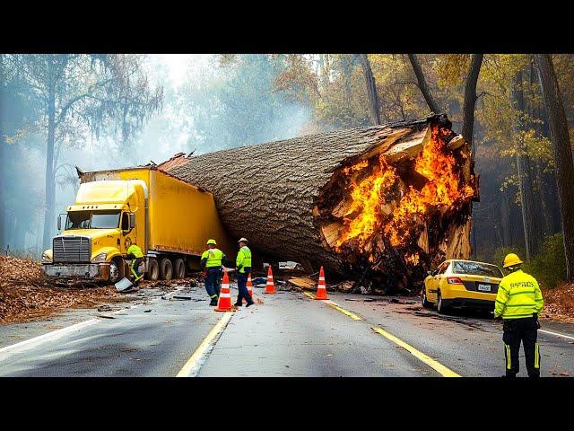 Dangerous Idiots Truck & Heavy Equipment Fails Compilation | Extreme Truck Idiots at Work #23