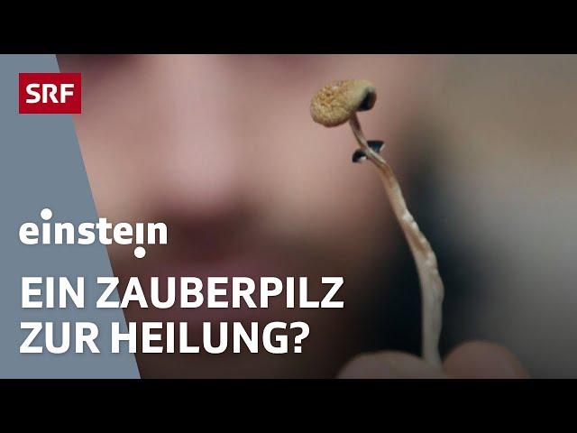 Drogen als Medikamente: Wie LSD, Psilocybin und GHB heilen könnten | Doku | Einstein | SRF Wissen