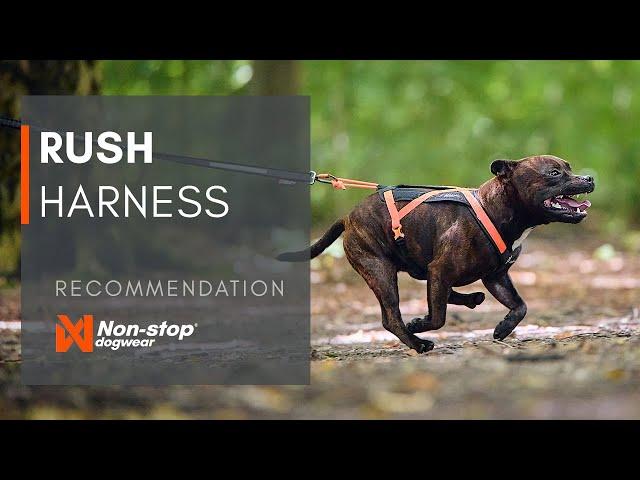 The Rush harness - innovative, short pulling harness