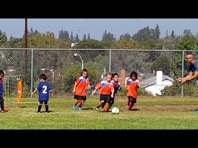 AC Brea Girls Boys AYSO U5 Soccer Game 4 yr 5 yr old match philomena JUSA Soccer Pre-K Kindergarten