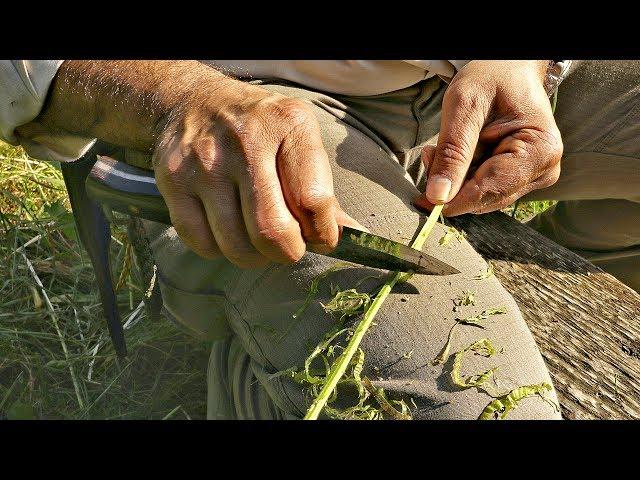 How To Make Natural Cordage From Bramble