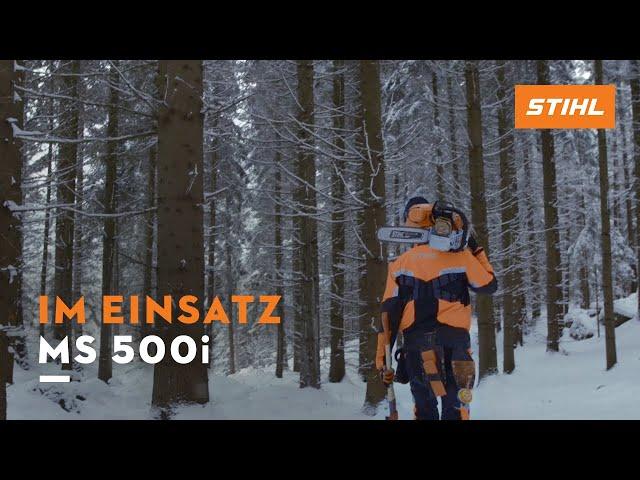 STIHL MS 500i Motorsäge im Forsteinsatz