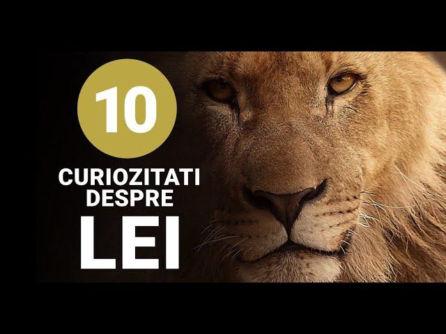 10 Curiozitati Interesante despre Lei - Informatii despre Leu