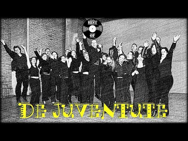 Luigi Ionescu - Macarale / DE JUVENTUTE