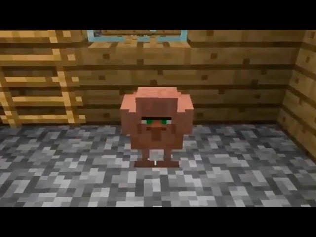 Minecraft in Ohio compilation  #7