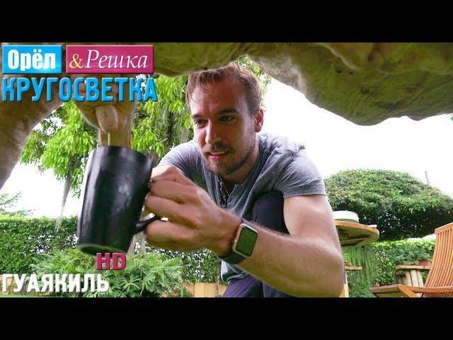 Орёл и Решка. Кругосветка - Гуаякиль. Эквадор (1080p HD)