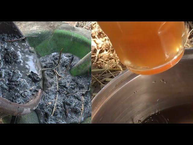 Making Lye Water  (Potassium hydroxide KOH) The Easy Way From Hardwood Ashes