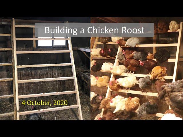 Building a Chicken Roost