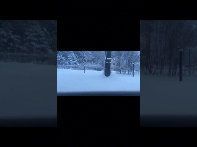 Timelapse loop #snow #hiking #taiga #snowboarding #hikking #finland #fishing #beinghiker #winter