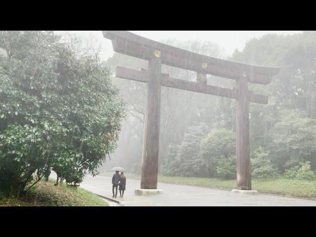 Walking in the Rain in Tokyo: Meiji Jingu Shrine - Rain Sounds, Rain Ambience, White Noise, Thunder