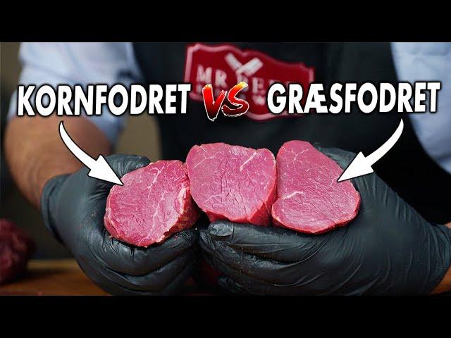 Vi Tester Forskellen På Græsfodret vs Kornfodret Oksemørbrads