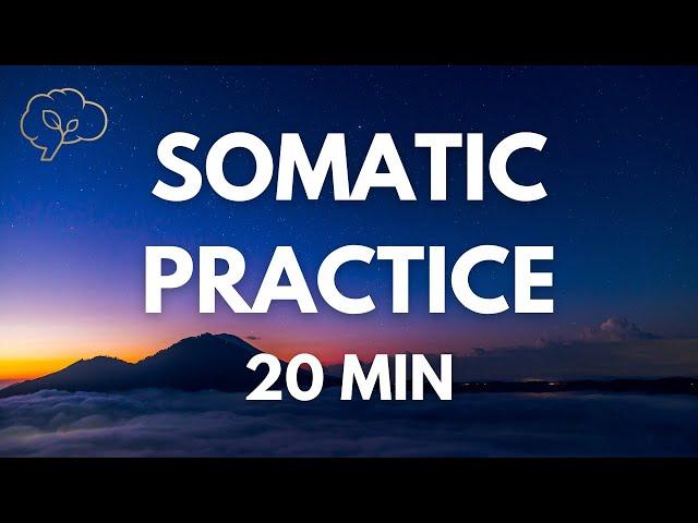 Somatic Exercises for Nervous System Regulation | 20 Min Guided