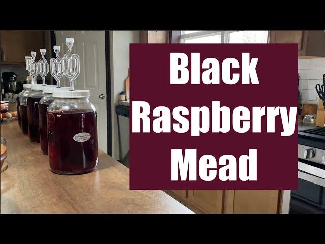 Black Raspberry Mead  Crafting Melomel: A Homage to Wild Black Raspberries