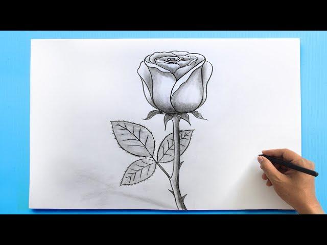 ROSE Drawing Easy | How to Draw a Rose step by step