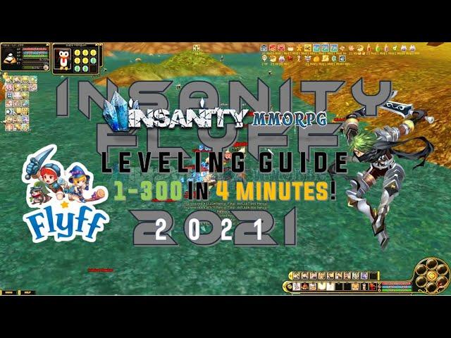 [Insanity FlyFF] Level 1-300 in 40 minutes! | Fly For Fun