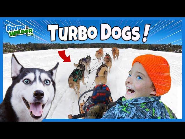 Kids DOG SLEDDING Birthday SURPRISE!? - River & Wilder Family Fun Adventures