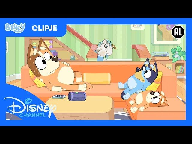 Bluey Minisodes | Muziekbox | Disney Channel België-Nederland