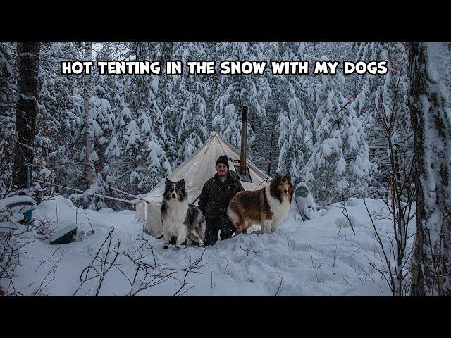 Hot Tenting In The Snow With My Dogs