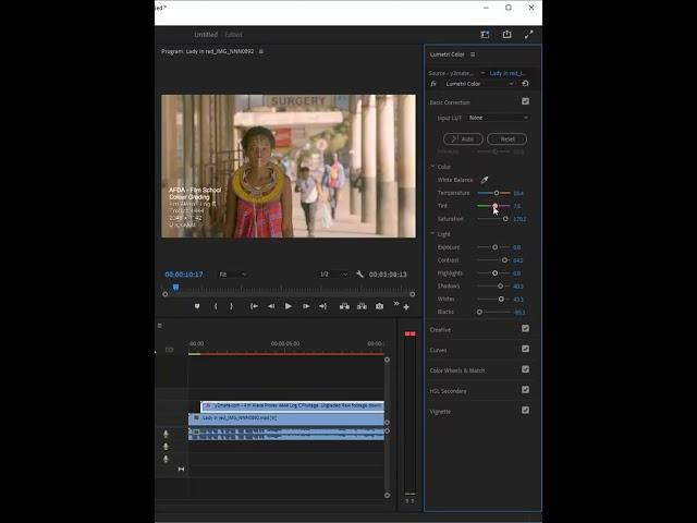 Step Premiere Pro Color Grading Tutorial