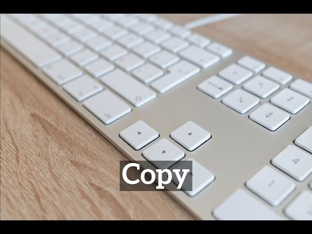 What is Copy? | How Does Copy Look? | How to Say Copy in English?