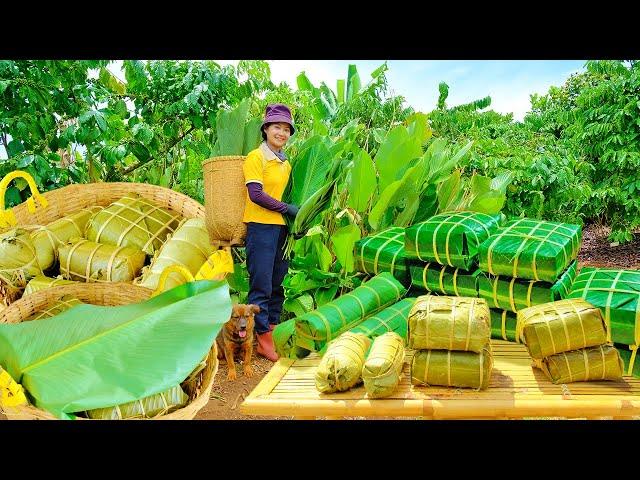 Prepare Ingredients Wrap Banh Chung & Cooking Banh Chung Goes To Market Sell | Tieu Lien