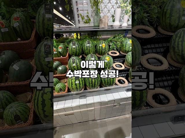 용기있게 수박 포장하기