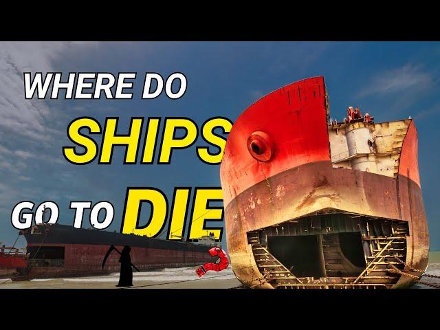 Where Ships Go To Die?