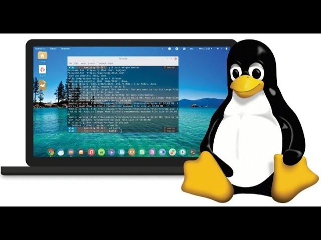 Восстановление данных в Linux с помощью Foremost.