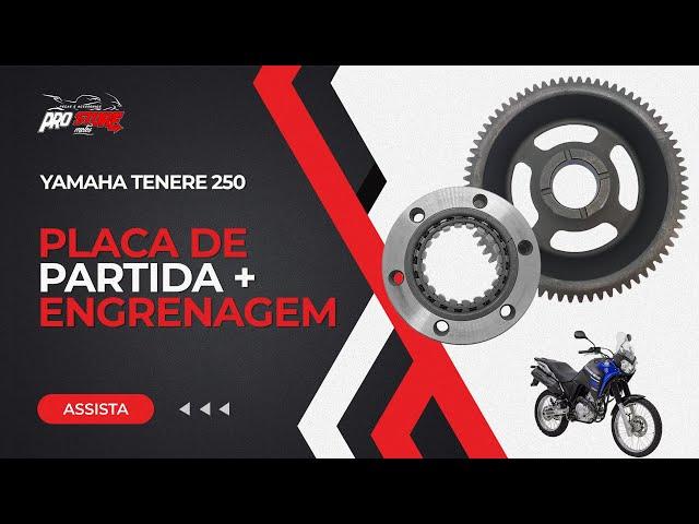 PLACA DE PARTIDA C/ ENGRENAGEM - YAMAHA TÉNÉRÉ 250 | Pro Store Motos