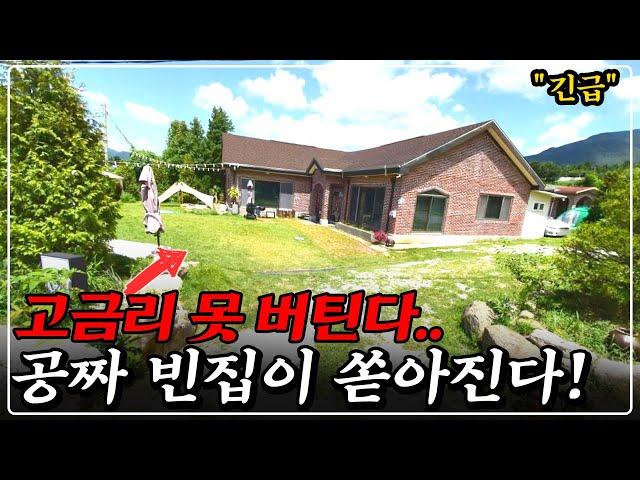 "더는 못 버텨"  땅만 300평 전원주택 경매, 3억 → 1억대까지.. 반값 이하 유찰!