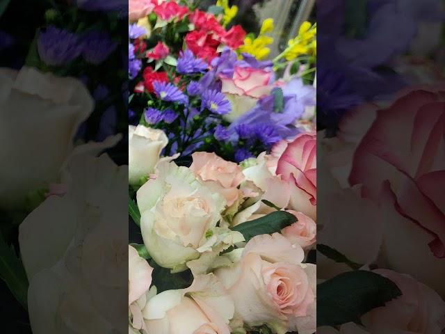 #꽃 #장미꽃 #꽃길  #박서진