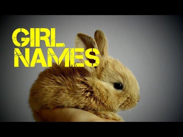 girl Rabbit names beginning with i
