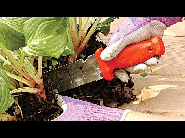 Amleo.com with GardenersEdge.com and the 4752 Leonard Soil Knife