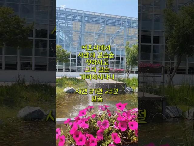 시편 37편 23절 말씀 #귀한말씀 #은혜로운채널 #좋은글 #성경구절 #지혜 #축복된삶 #성경말씀 #성경구절암송