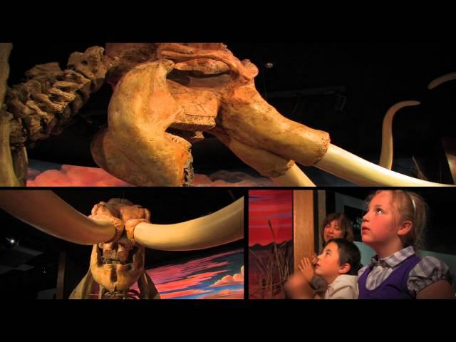 VISIT CARSON CITY, NEVADA_by THS Visuals Motion Pictures
