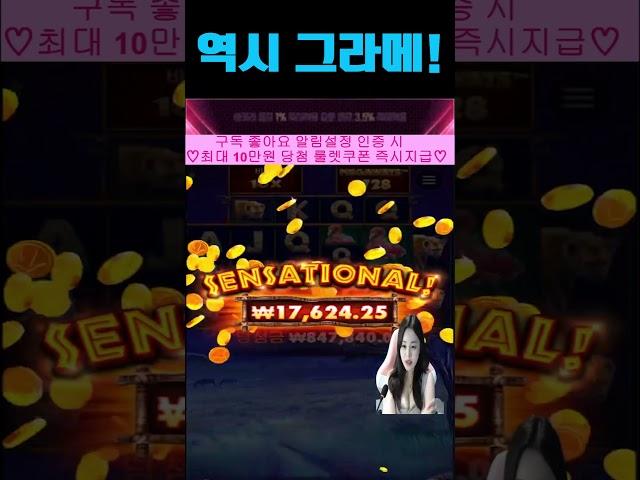 [바카라][단비TV] 슬롯 그라메 !! #쇼츠  #shorts  #바카라  #에볼루션  #바카라실시간  #카지노 #프라그마틱 #슬롯 #실시간슬롯  #프라그마틱슬롯