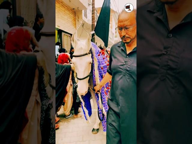 Mera imam Hussain #shorts #nohay #nadeemsarwar #muharram2024 #tranding #viral