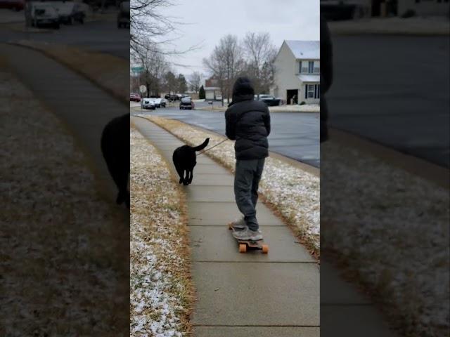 Asked my son to walk our dog | longboarding with dog