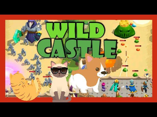 WILD CASTLE3D LEVELS 40 WALKTHOUGH GAMEPLAY