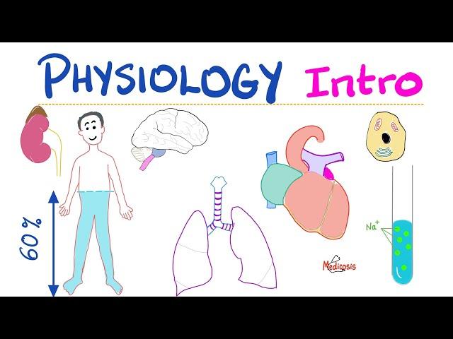 Physiology Introduction - What is Physiology? - A Complete Playlist - Doctors, Nurses, Undergrads