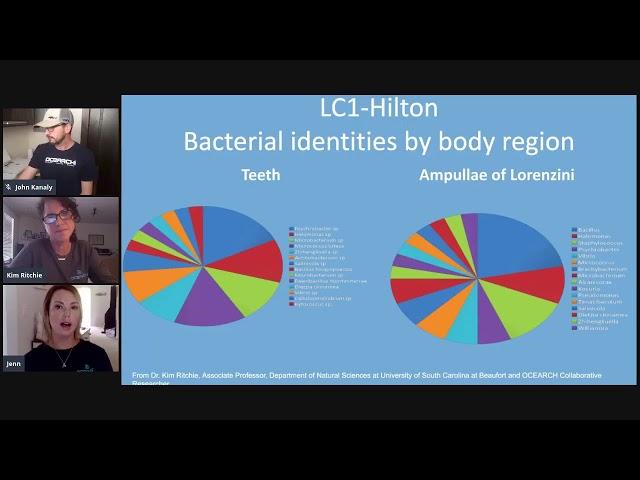 Shark Bacteria + You! With Dr. Kim Ritchie from the University of South Carolina at Beaufort